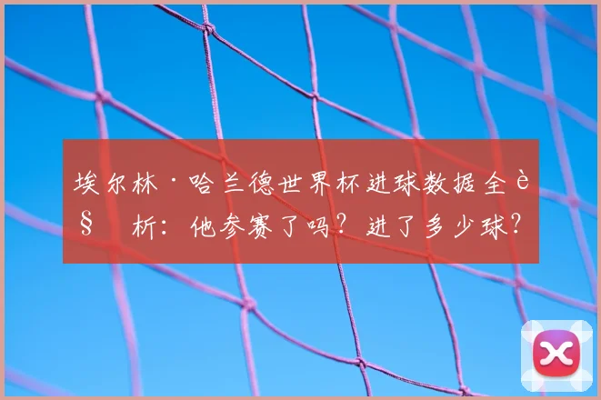 埃尔林·哈兰德世界杯进球数据全解析：他参赛了吗？进了多少球？