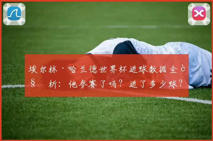 埃尔林·哈兰德世界杯进球数据全解析:他参赛了吗?进了多少球?